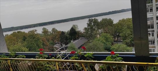 Pogled na Dunav, dvostran, svetao