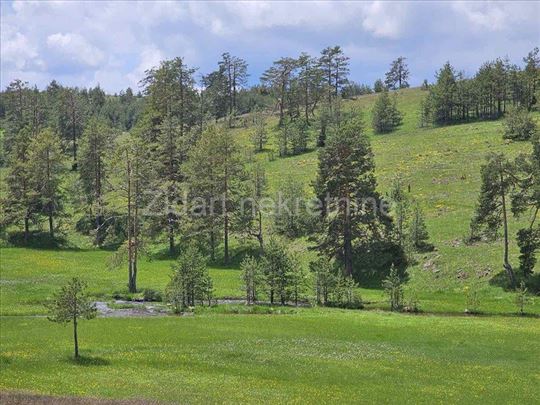 Zlatibor, Vodice, Zemljište, 150,00ar