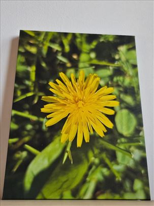 Na prodaju, canvas i blind ram 2cm