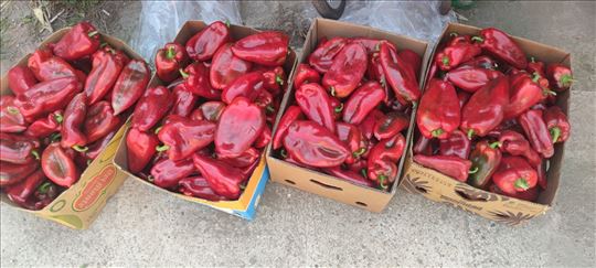 Crvena paprika ajvaruša