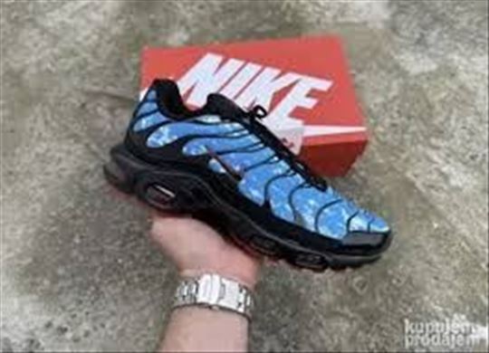 Nike Air Max Plus TN Shark Attack