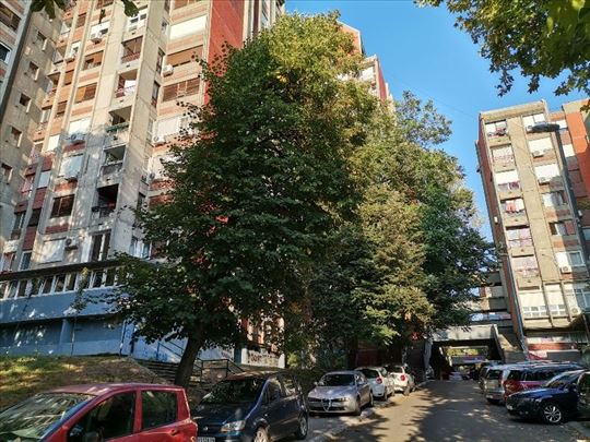 Bulevar oslobođenja, 3.0, 86m2, renoviran,uknjižen