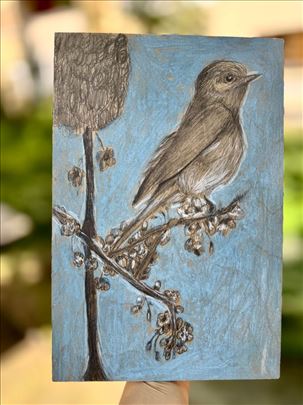 Crtanje, slikanje, vajanje za decu, Zemun