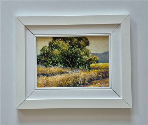 Ulje na medijapanu - Leto