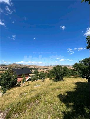 Hitno plac 4,2ara Zlatibor, Gajevi