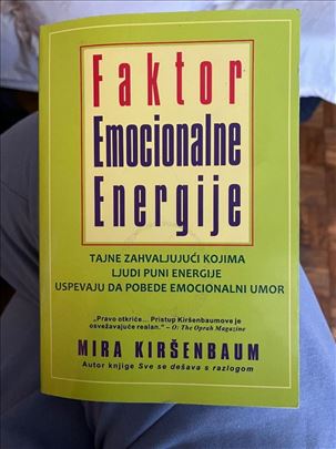 Faktor emocionalne energije knjiga