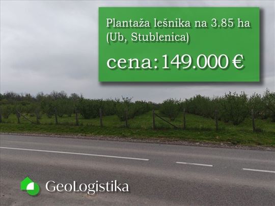 Plantaža lešnika na 3.85 ha
