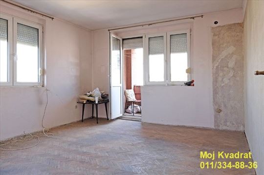 Zvezdara, Lion - Gvozdićeva