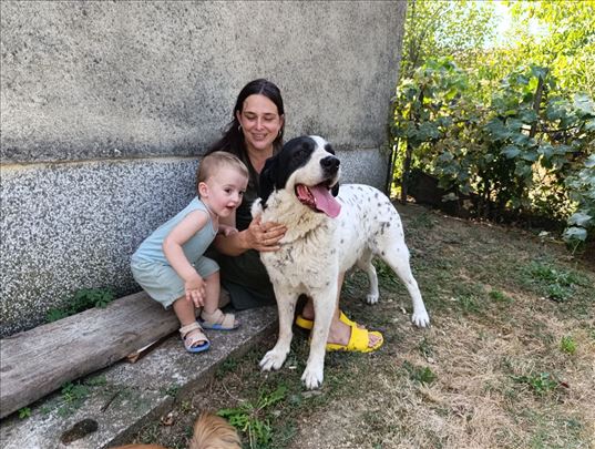 Reks, dobroćudni kralj