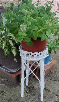 Šarmantni Pleteni Stalak za Saksiju