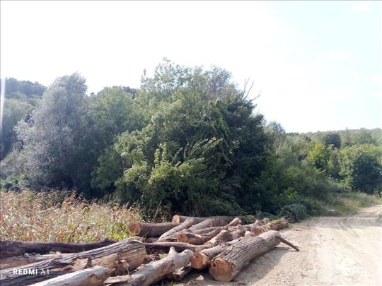 Sviloš zemljište 3670m2 pored puta HITNO!