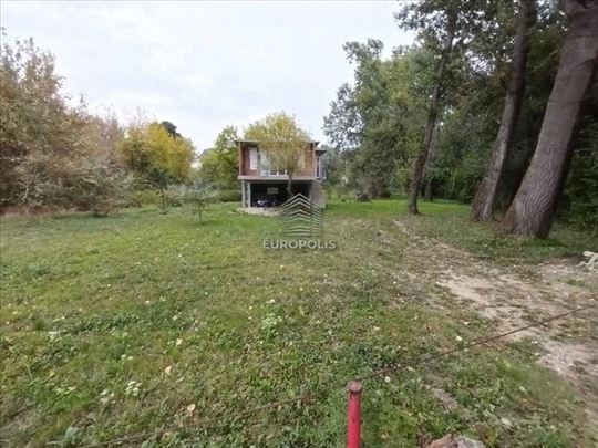 Žrtava fašizma, Prograr, Surčin ID#8421