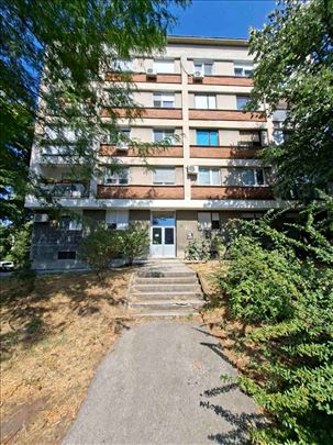 Banovo brdo, Kneza VIšeslava, 65m2
