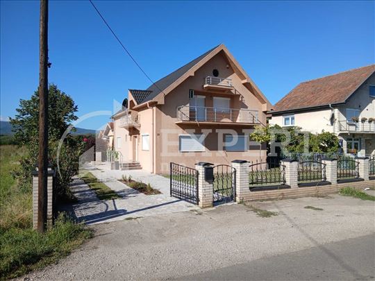 Kuća u Tešici, plantaža lešnika
