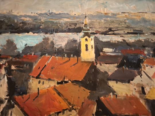 Vojinovićevi "Krovovi Zemuna"