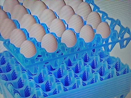 Gajbice za jaja - nosaći - extra