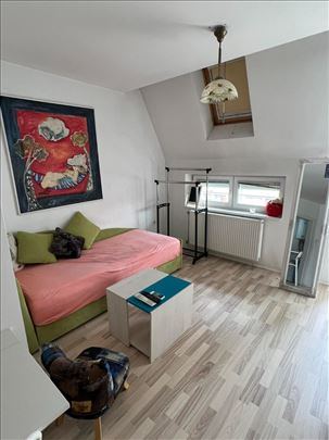 Jednosoban stan na Grbavici ! Miše Dimitrijevića !