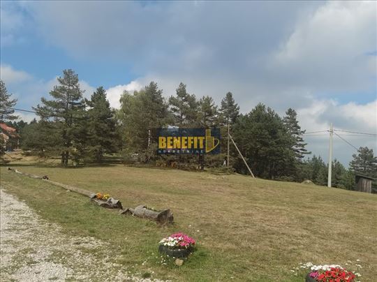 Plac 31 ar, uknjižen, vlasništvo 1/1