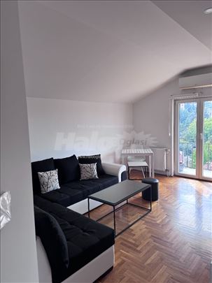 1.5 Kanarevo Brdo , Roze Luksemburg