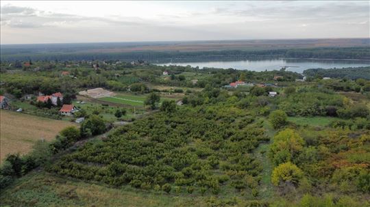 Krčedin Građevinsko zemljište 11.500m2 HITNO!