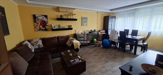 Sretena Mladenovića Mike, Labudovo Brdo, Rakovica 