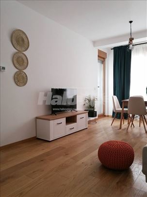 Apartman ”Zlatibor.Slava 1”. Duzi period