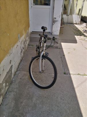 Bicikl Galaxy booster