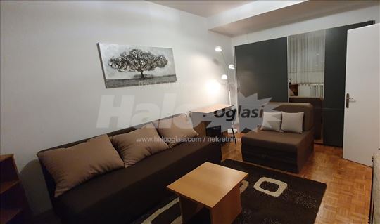 Kompletno renoviran 1.0, blok 21, hotel Hajat