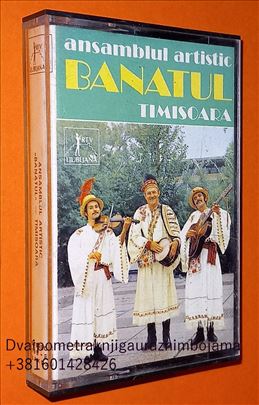 Ansamblul Artistic Banatul Timisoara