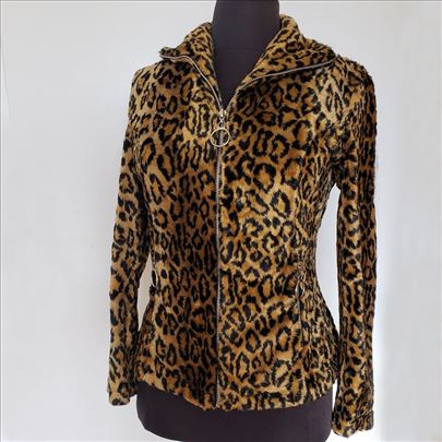 Leopard jakna, Los Angeles, USA