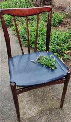 Par Retro Stolica, Dizajn 60-ih/70-ih 