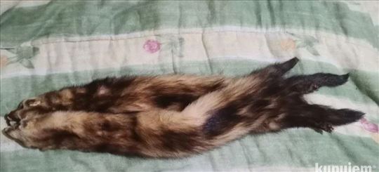 100% prirodno krzno Kune iz uvoza 