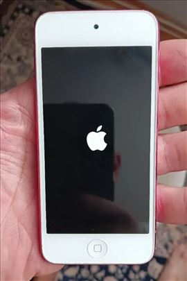 Apple iPod Touch 5th Generation A1421