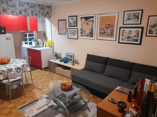 Garsonjera 26m2 na Vašarištu
