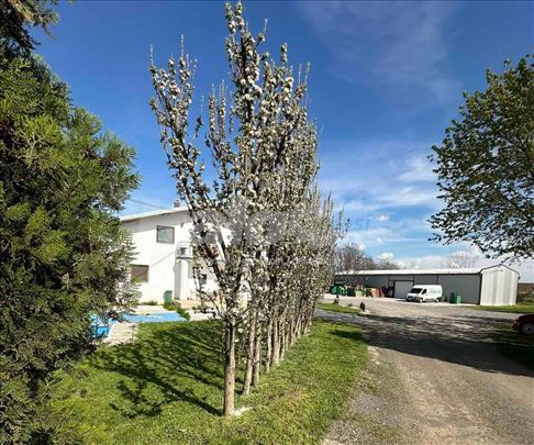 Oberenovac ,hala 250 veliki parking