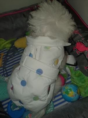 Camon jakna za pse 27 cm