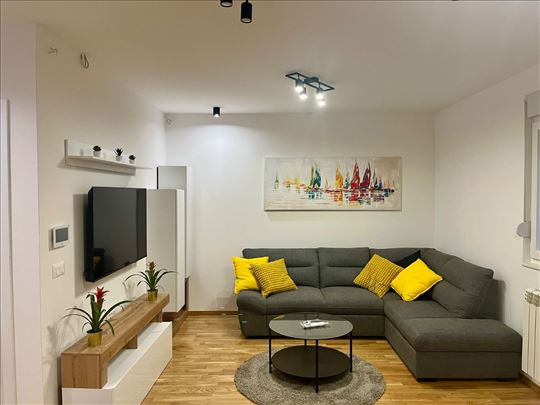 Moderan jednoiposoban stan, Vračar (pet friendly)