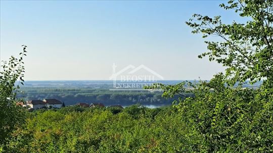 Palilula - Višnjica - 20.75a ID#24502