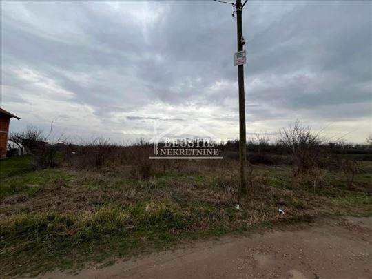 Smederevo - Carina - 27.89a ID#24057