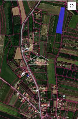 Smederevo - Kolari - 47,78 ari ID#24197