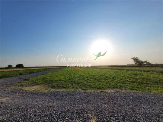 Surčin, Jakovo, 4.95 ari, građ.zemljište,uknjiženo