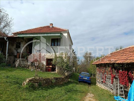 Svrljig, Gradska lokacija, Kuća, 4.0, 150m2