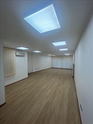 Skupština, renoviran, odličan za pp, ID 20821