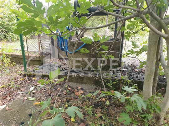 Kuća 104m2 na 299m2 placa, Donje Vlase