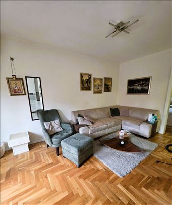 Matice Srpske, 46m2, 1.5, 1/3, namešten 