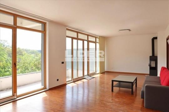 Moderna, višenamenska vila na Dedinju ID#2839