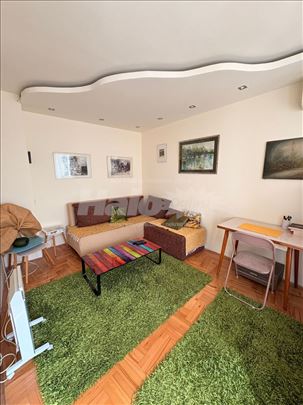 Somborski bulevar - jednosoban stan renoviran