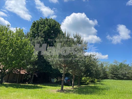 Vikendica 60m² na 90 ari – Crni vrh, Jagodina