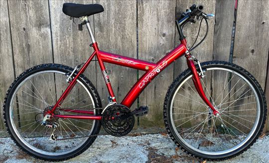 Capriolo Ytrack mtb bicikl 3x6 shimano 26”