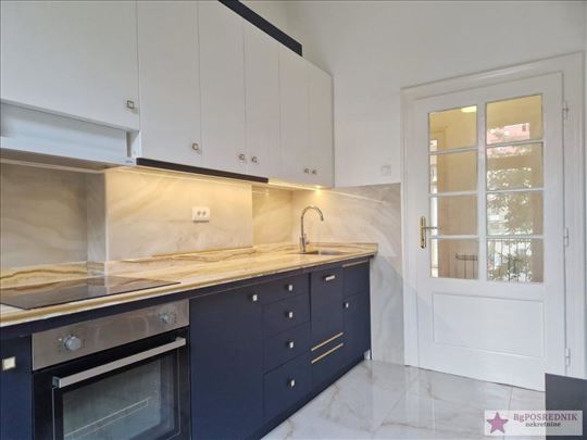 Palilula, Botanička bašta, Bulevar despota Stefana